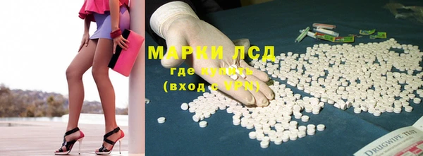 ГАЛЛЮЦИНОГЕННЫЕ ГРИБЫ Арсеньев
