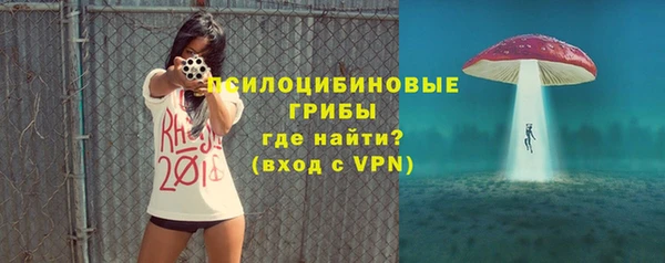 стаф Богданович