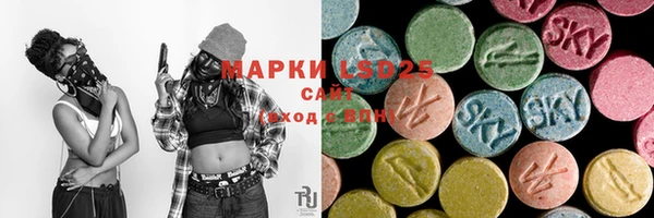 ГАЛЛЮЦИНОГЕННЫЕ ГРИБЫ Арсеньев