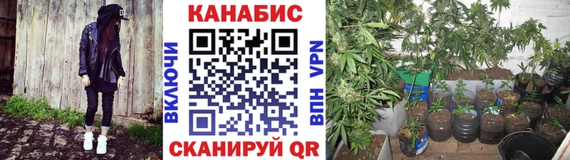 Бошки Шишки AK-47  mega зеркало  Переславль-Залесский 